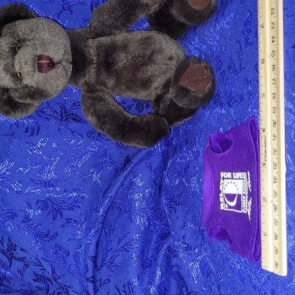 1998-1999 ACS Relay For Life "Mr. Ree" (mystery) Teddy Bear VTG Plush Logo Bear - Picture 12 of 17